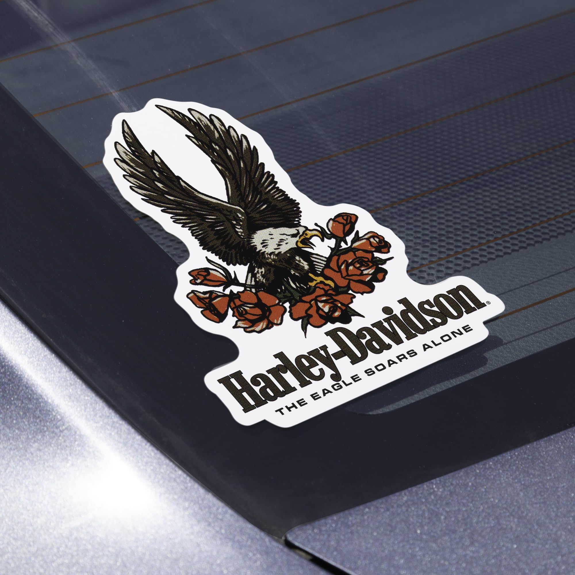 Amazon.com: CHROMA 025189 Harley-Davidson Text & Eagle with Roses